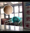 PTPN 与白殿风的关系